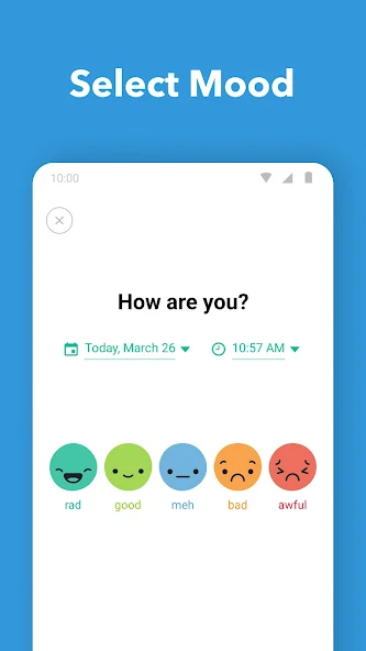 Screen